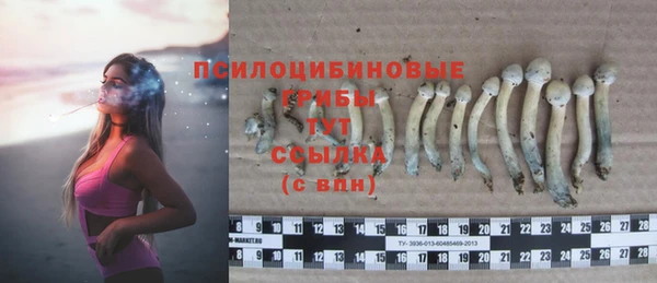 тгк Балабаново