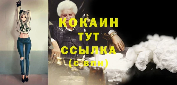 индика Белоозёрский