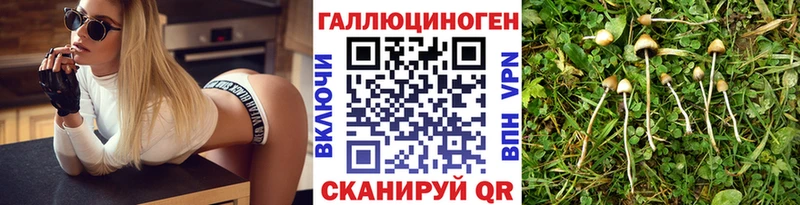 Галлюциногенные грибы MAGIC MUSHROOMS  блэк спрут вход  Котовск 